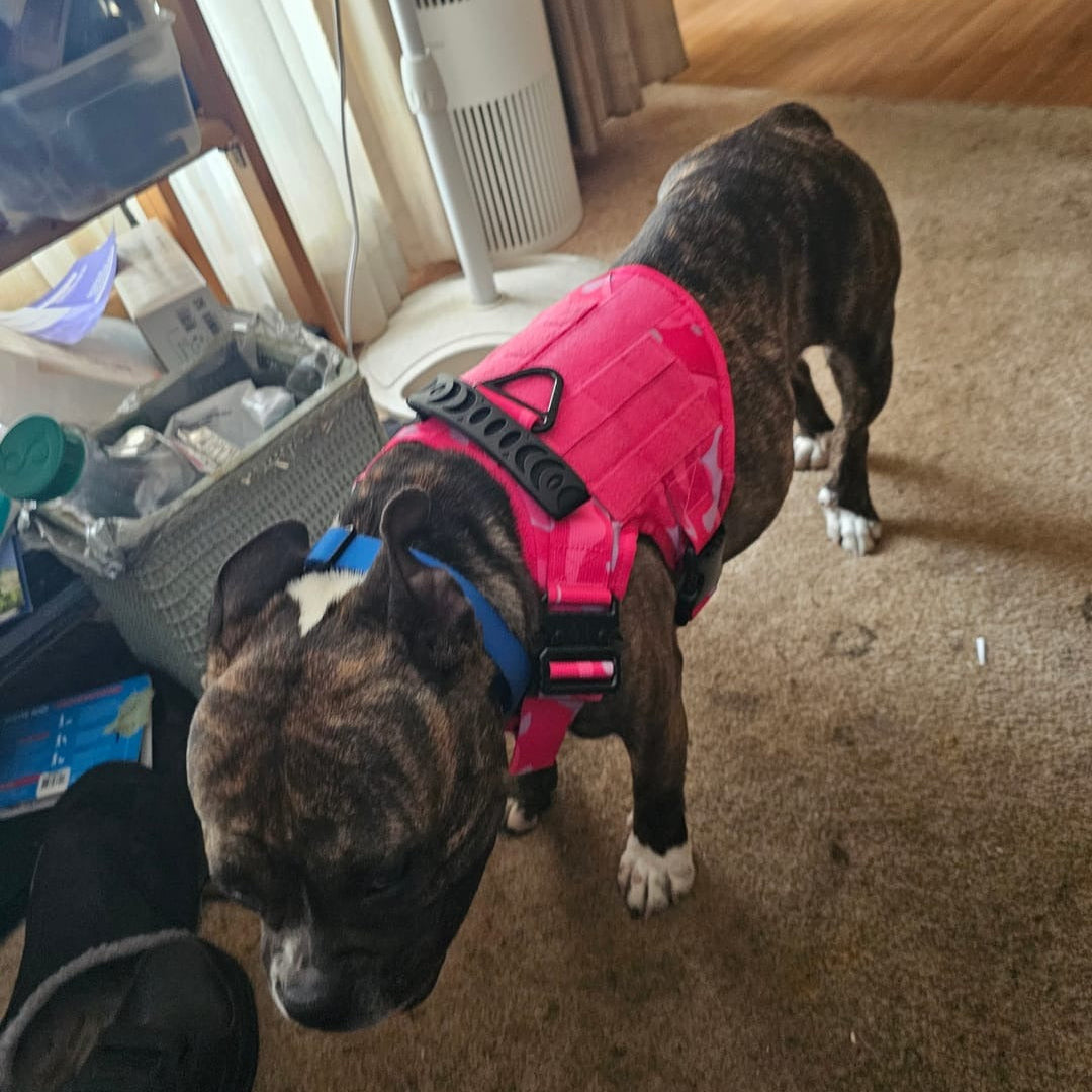 Avroxen K9 Pro™ No-Pull Tactical Dog Harness – Full Control for Power Breeds