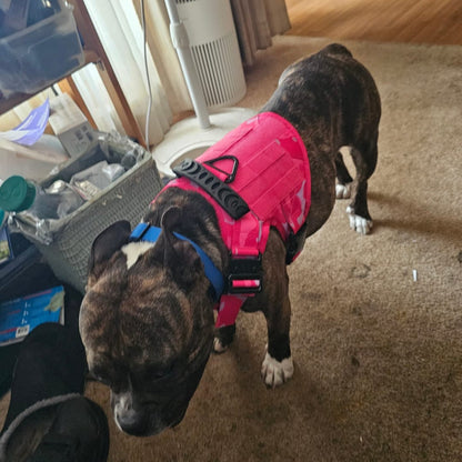 Avroxen K9 Pro™ No-Pull Tactical Dog Harness – Full Control for Power Breeds