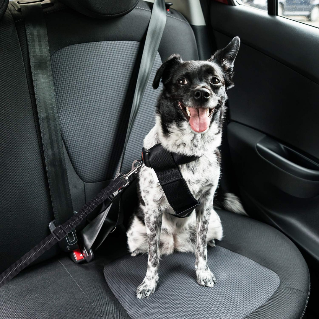 Avroxen PawGuard™ - Dog Seatbelt