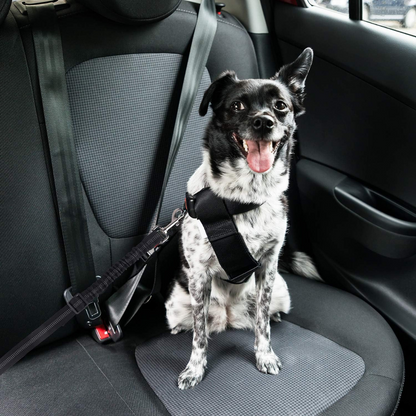Avroxen PawGuard™ - Dog Seatbelt