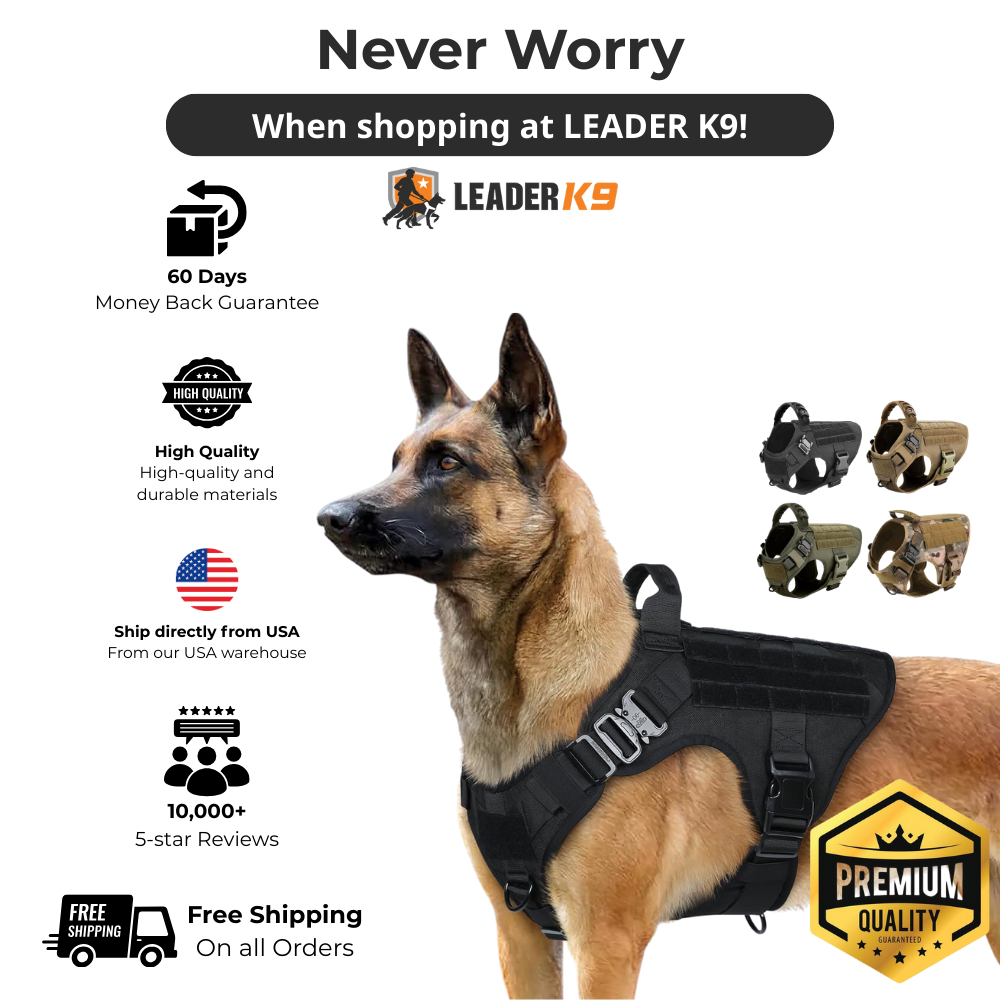 Avroxen K9 Pro™ No-Pull Tactical Dog Harness – Full Control for Power Breeds