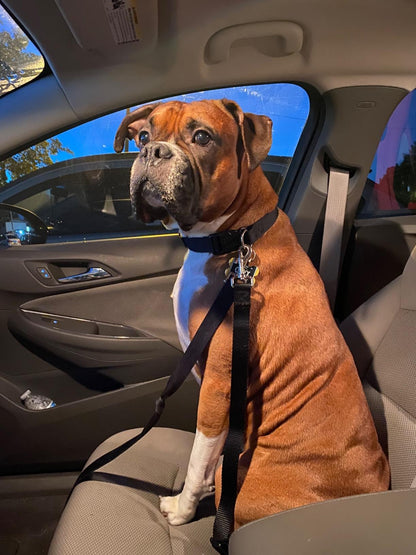 Avroxen K9 Pro™ Car Safety Belt For Dogs