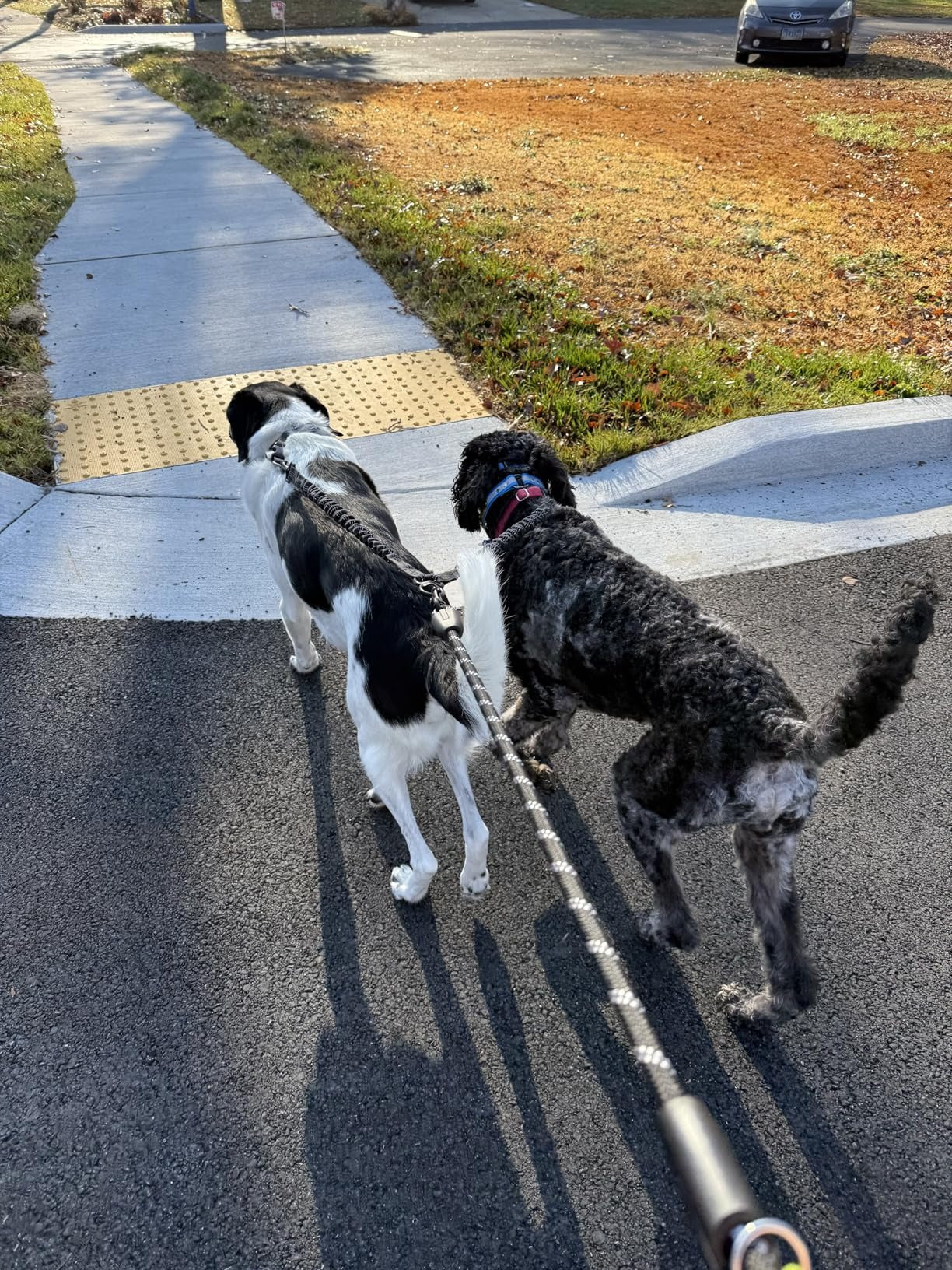 Avroxen K9 Pro™ Tactical Double Dog Leashes