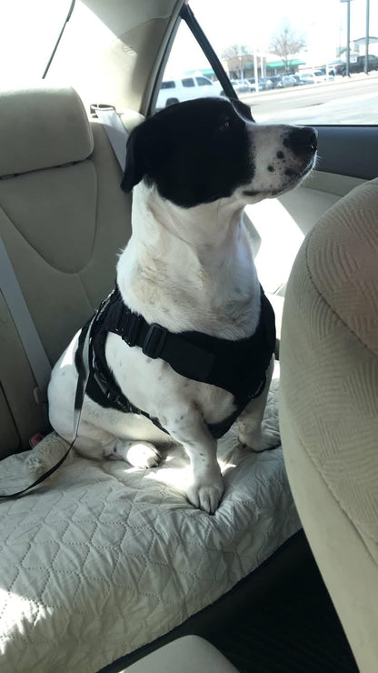 Avroxen K9 Pro™ Car Safety Belt For Dogs