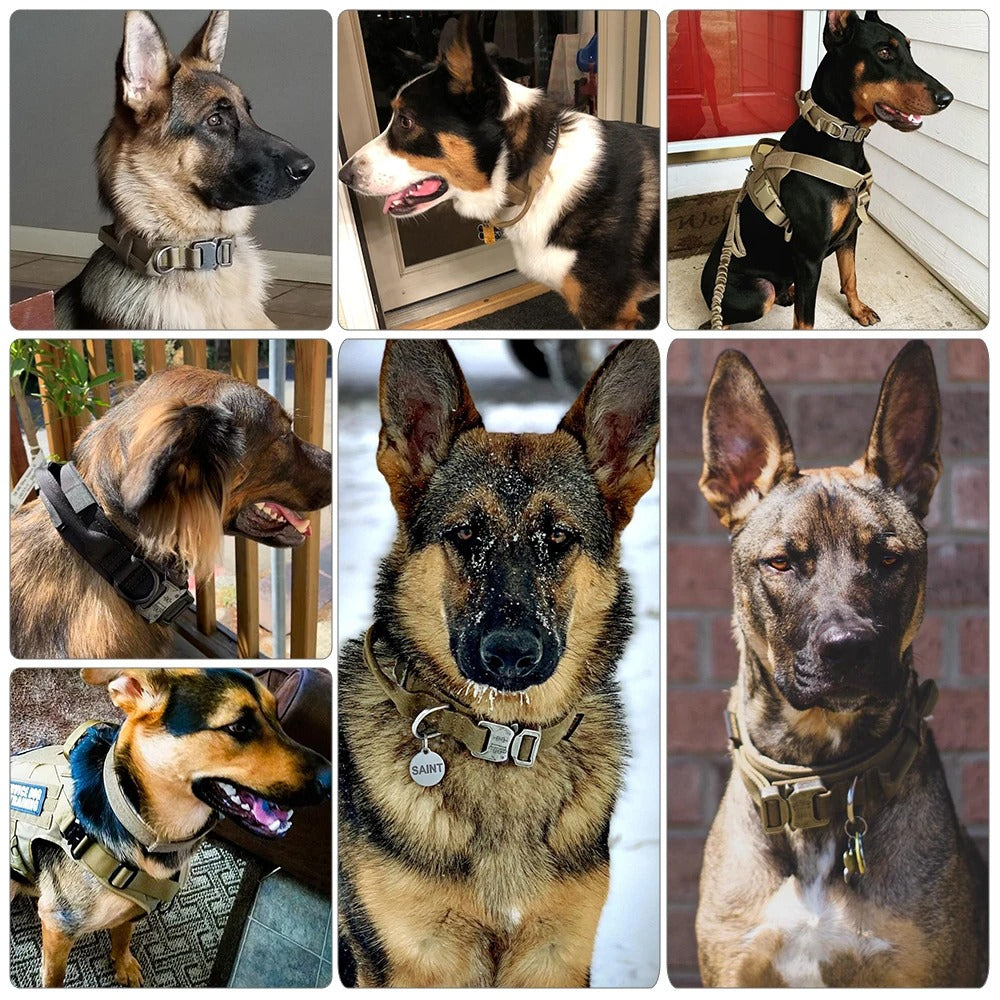 Avroxen K9 Pro™ All-In-One Tactical Kit