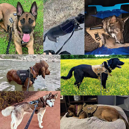 Avroxen K9 Pro™ No-Pull Tactical Dog Harness – Full Control for Power Breeds