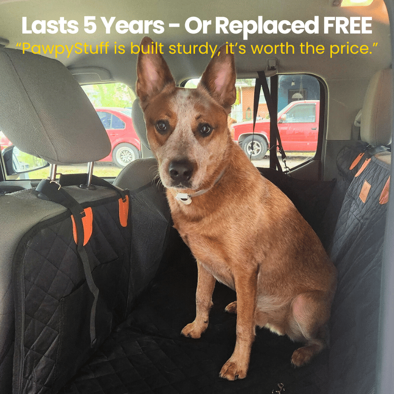 Avroxen PawGuard™ 2.0 – Heavy-Duty Pet Seat Cover