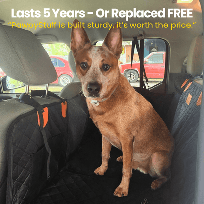 Avroxen PawGuard™ 2.0 – Heavy-Duty Pet Seat Cover