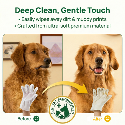 Avroxen PawGuard™ - Dog Glove Wipes