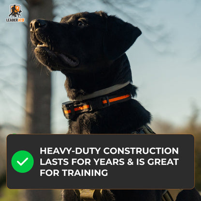 Avroxen K9 Pro™ No-Pull Tactical Dog Harness – Full Control for Power Breeds