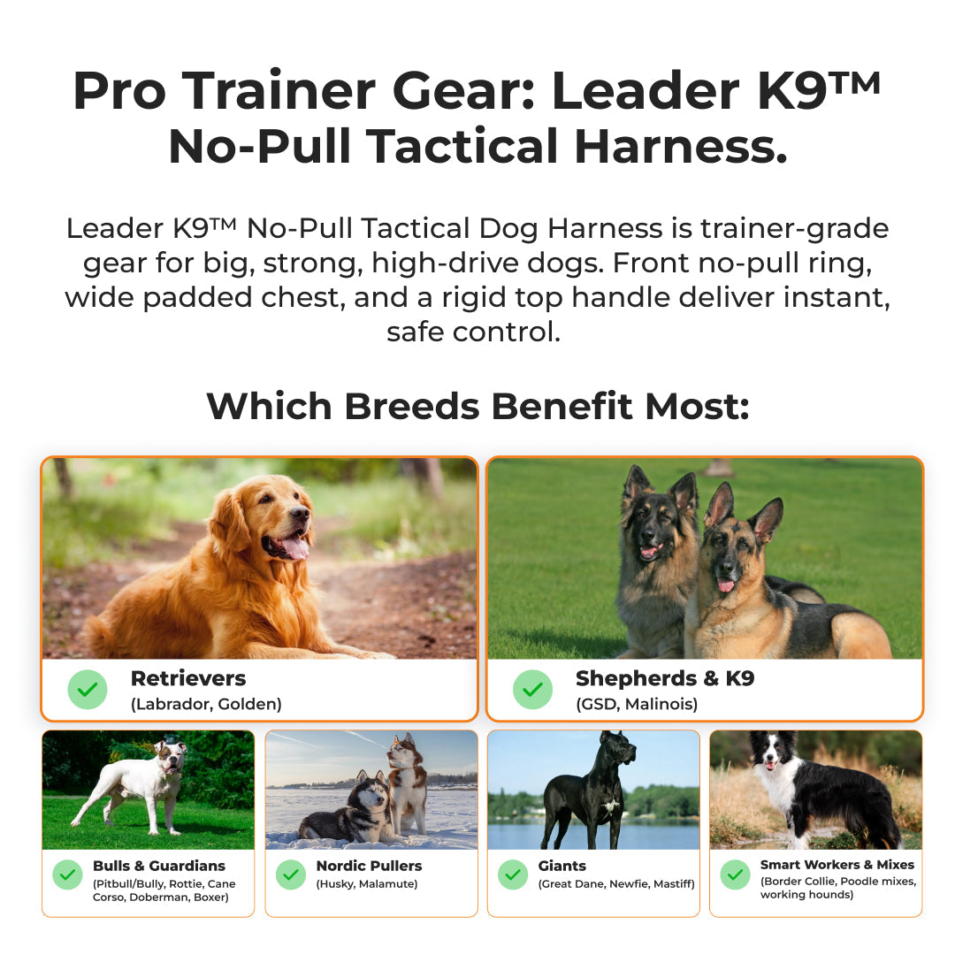 Avroxen K9 Pro™ No-Pull Tactical Dog Harness – Full Control for Power Breeds