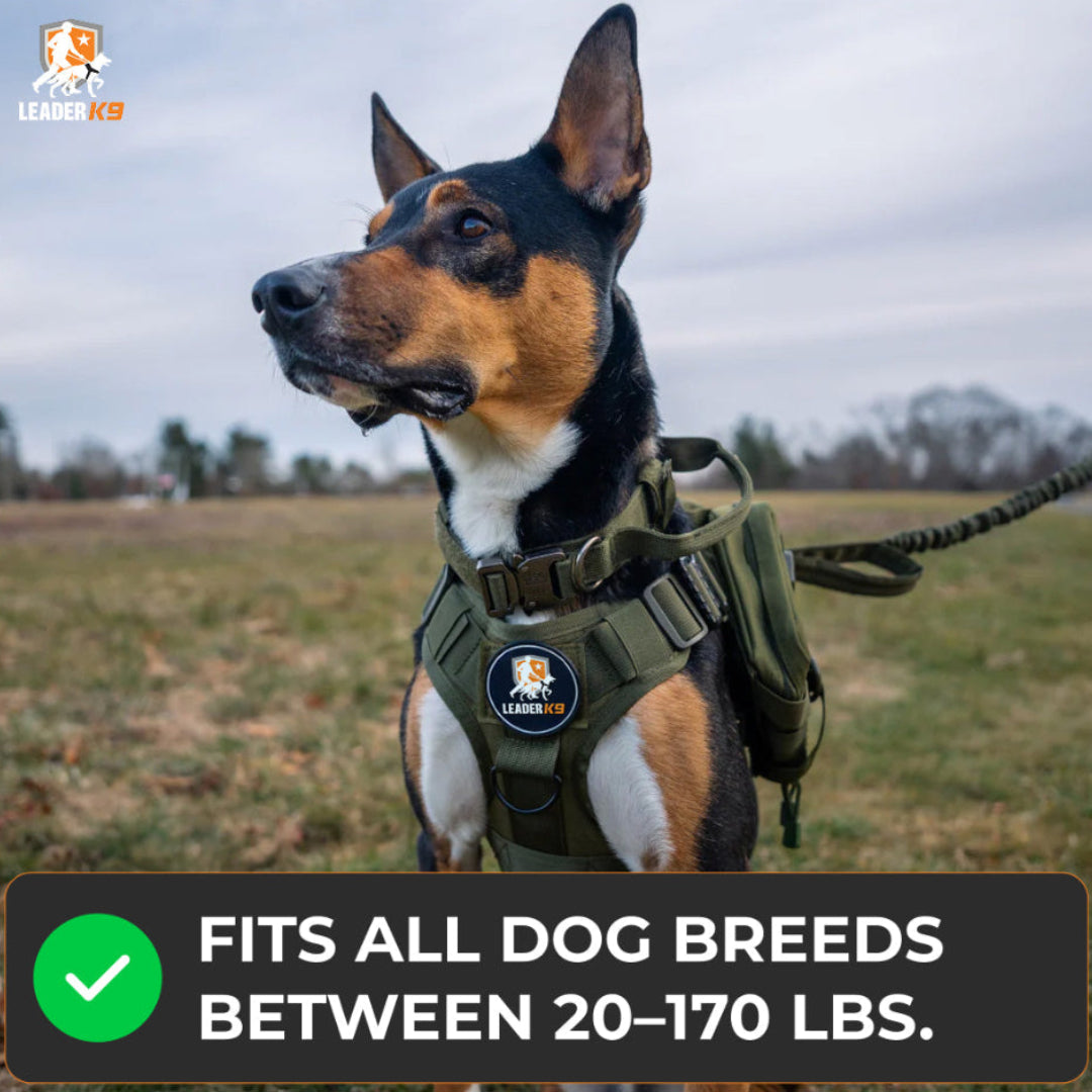 Avroxen K9 Pro™ No-Pull Tactical Dog Harness – Full Control for Power Breeds