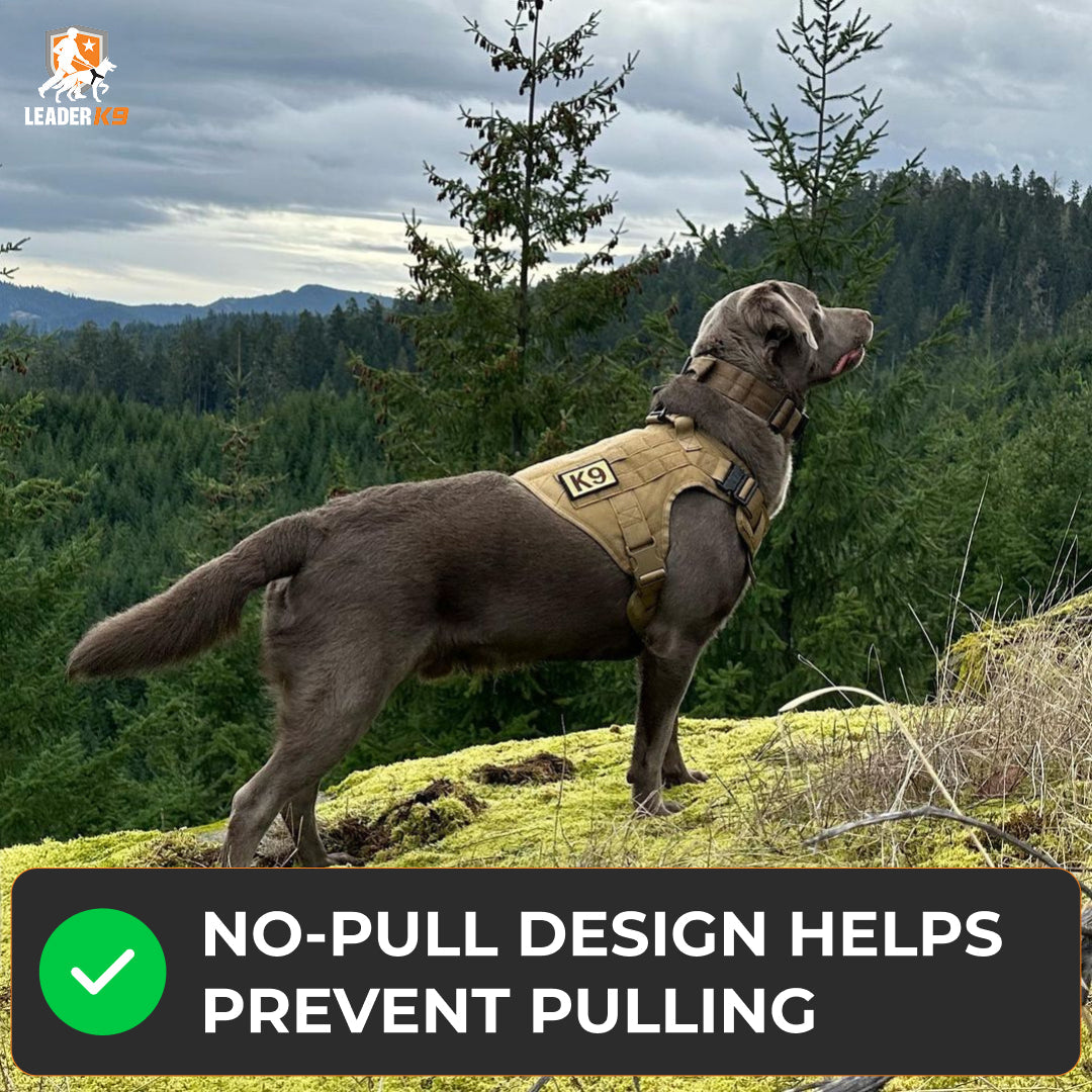 Avroxen K9 Pro™ No-Pull Tactical Dog Harness – Full Control for Power Breeds