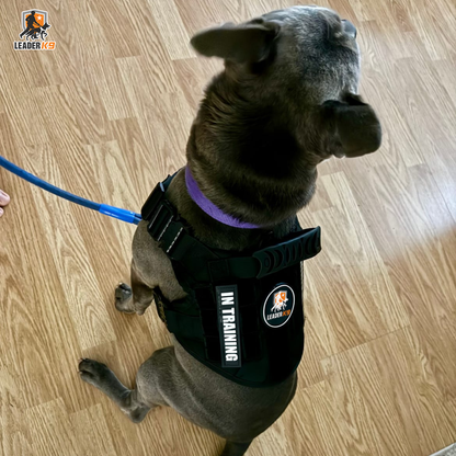Avroxen K9 Pro™ No-Pull Tactical Dog Harness – Full Control for Power Breeds